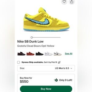 Nike SB Colorful Logo Box